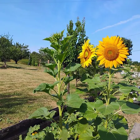 Сasa de vacaciones Le Hameau De Galice